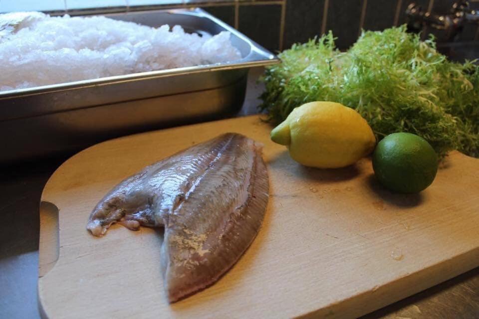 科里姆山酒店 Fjerritslev 外观 照片